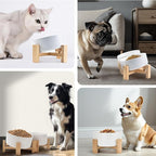 SPUNKYJUNKY 15° Slanted Ceramic Dog and Cat Bowl with Wooden Stand, Tilted Bulldog Food and Water Bowl No Slip Non-Spill for Cats Medium Dogs Big Face Pets 28.7 OZ (3.6 Cups, White)