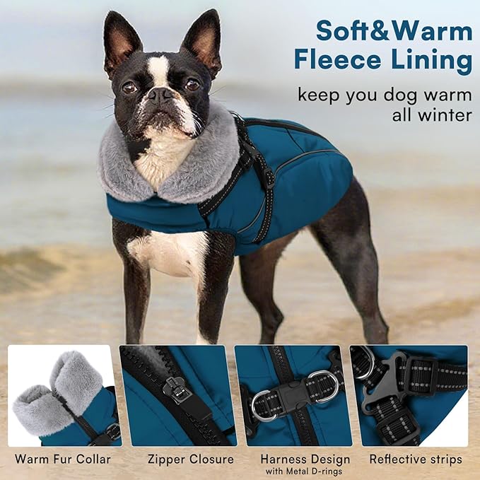Queenmore Dog Coat,Windproof Dog Coat for Medium Dogs,Dogs Jackets with Harness Built in,Waterproof Doggy Coats with Zipper On Back,Reflective Cold Weather Coats for Dachshund，Boston Terrier,Blue,M