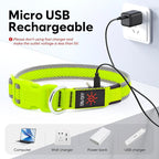 Flashseen LED Dog Collar, Light Up Dog Collar Lights USB Rechargeable, Adjustable Comfortable Soft Mesh Safety Collar for Small, Medium, Large Dogs(Large, Neon Green)