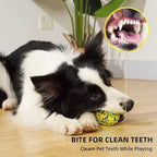 [4 Pack]E-TPU Dog Balls, 3.15'' Indestructible Tennis Balls for Dogs, Durable Bouncy Dog Toys for Aggressive Chewers, Teething Cleaning Chew Toys, Water Toy Fetch Ball for Large Medium Dog and Puppies