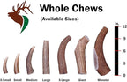 Giant Whole Single Pack (for 75+ lb Dogs) Premium Grade Elk Antler for Dogs (1 Piece) Sourced in The USA