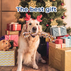 Aggressive Chew Rope Toys for Medium Large Dogs, Tooth Cleaning Chew Toys