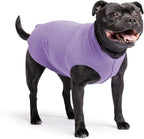 Goldpaw Stretchy Fleece Jacket for Small Dogs - Super Soft, Warm Dog Sweater - Pet Sweater Vest for Fall and Winter - Canine Clothes Made in The USA - Machine Washable - Lavender - Size 16