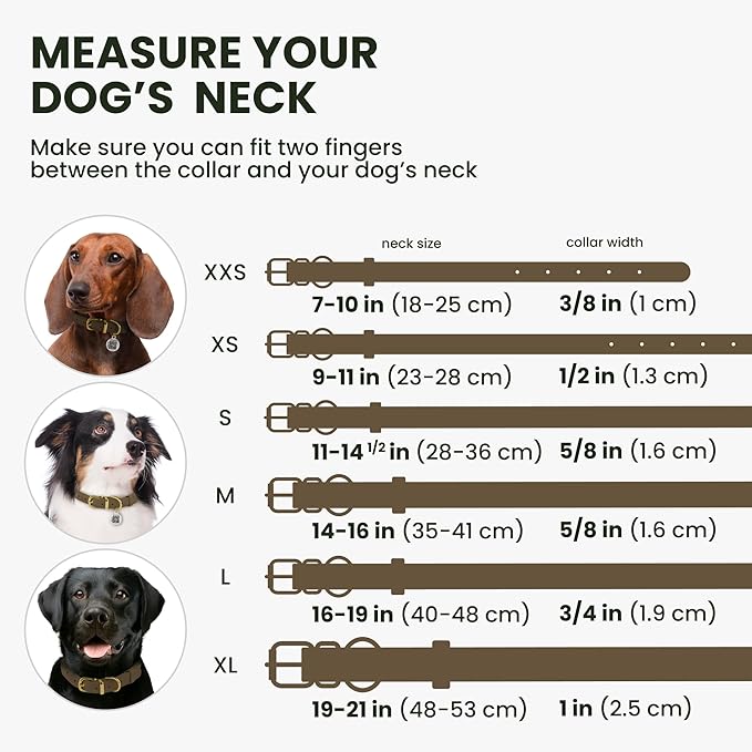 BronzeDog Rolled Leather Dog Collar with QR ID Tag, Adjustable Soft Round Collars for Small Medium Large Dogs Puppy (16" - 19" Neck Size, Nut Brown)