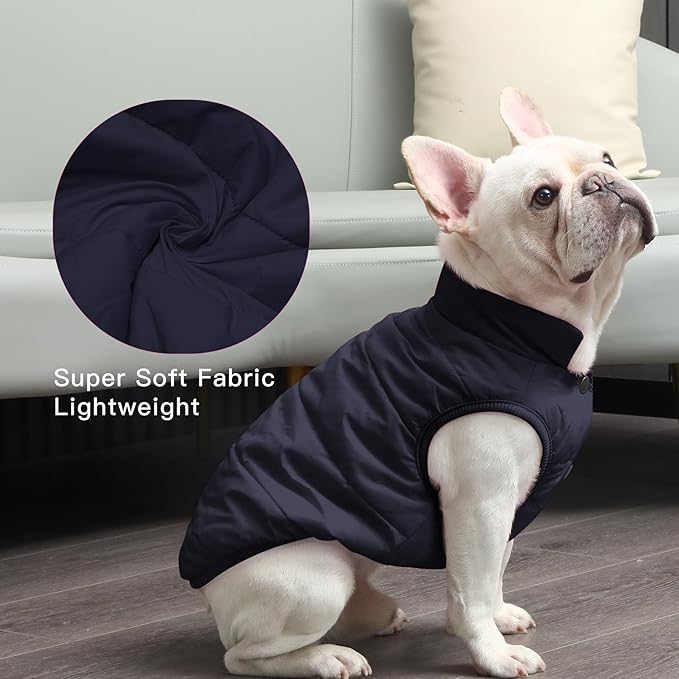 2 Layers Fleece Lined Warm Dog Jacket for Winter Cold Weather,Soft Windproof Large Dog Coat,Blue XXL
