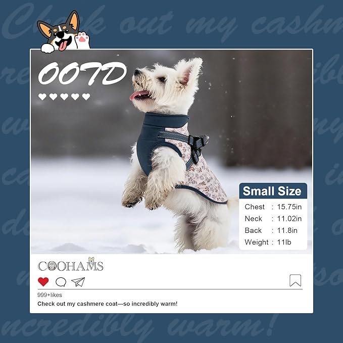 Dog Winter Coat for Small & Medium Dogs (Up to 31lb), Waterproof Dog Coat with Harness, Puppies Windproof Puppy Puffer Jacket, Snowsuit for Dachshund,Frenchie, Corgi (Paw Blue, Small)