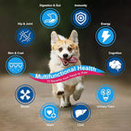 NATURE TARGET Dog Vitamins Powder, Probiotics & Digestive Enzymes for Gut Health, Glucosamine & Chondroitin & Omega 3, Complete Supplement for Homemade Dog Food, Joint & Skin & Immune Support
