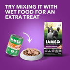 IAMS Advanced Health Healthy Digestion Adult Dry Dog Food with Real Chicken, 6 lb. Bag