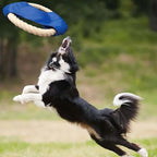 6 Pack Dog Rope Toys for Small Medium Large Breed, Tough Chew Ropes Tug Toy for Dogs, Flying Disc Fetch Toy Dog Rope Ball, Interactive Toy for Boredom, Puppy Teeth Cleaning