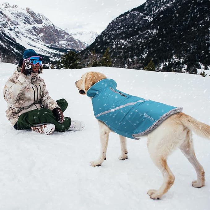 VIVAGLORY Snowrap Dog Coat, Jacket with Harness Hole & Velcro Closure, Dog Coat for Winter & Cold Weather, Fluffy Warm Fleece Lined Reflective Water Resistant for Puppy, S, Turquoise