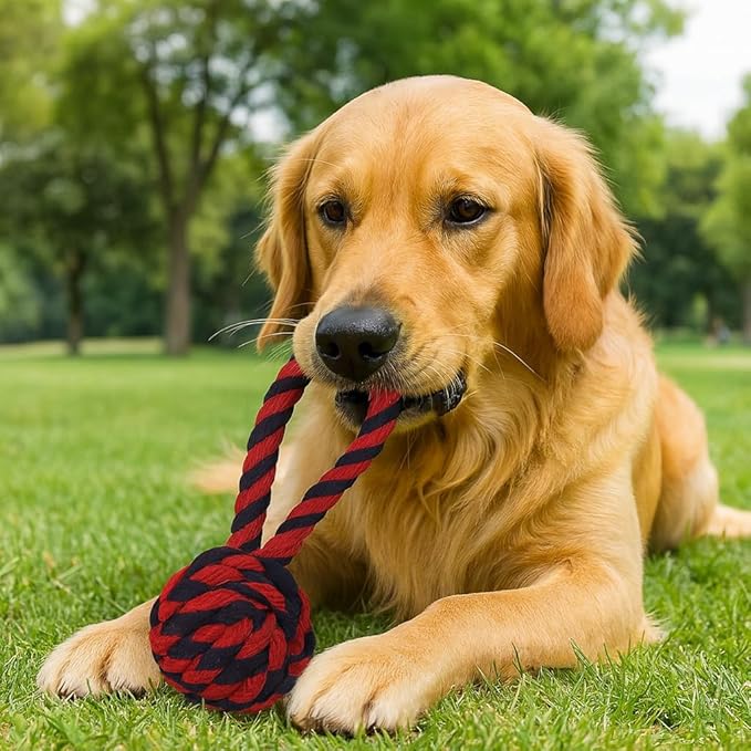 Dog Rope Toys Heavy Chew Toys for Medium & Large Breed Dogs – Durable Rope Toy Set for Teething, Chewing, and Interactive Play(Set of 4 Toys)
