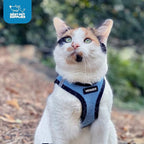 Best Pet Supplies Voyager Step-in Air Harness - All Weather Mesh, Reflective, No Pull Harness for Dogs, Cats - Secure with Hook & Loop Fastener, Buckle, Double D-Rings - Baby Blue/Black Trim, S