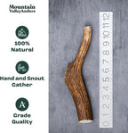 Mountain Valley Elk Antlers for Dogs - 100% Natural & Organic Chew for Aggressive Chewers, No Odor, No Mess, Long Lasting - Wild-Foraged Naturally Shed Antlers in USA - Grade A, Whole Large (1 Pack)
