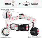 Ihoming Dog Collar and Leash Set for Daily Outdoor Walking Running Training, Floral GreenLake Design for Large Boys Girls Dogs Cats Pets, L-Up to 80LBS