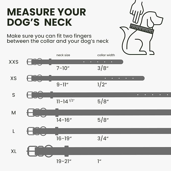BronzeDog Rolled Leather Dog Collar with QR ID Tag, Adjustable Soft Round Collars for Small Medium Large Dogs Puppy (16" - 19" Neck Size, Violet)