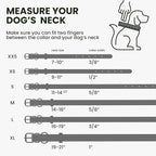 BronzeDog Rolled Leather Dog Collar with QR ID Tag, Adjustable Soft Round Collars for Small Medium Large Dogs Puppy (14" - 16" Neck Size, Violet)