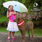 YFbrite Light up Dog Collar, USB Rechargeable LED Puppy Collar Super Bright Adjustable Glowing Dog Lights for Night Walking (Design 2- Pink, Small)