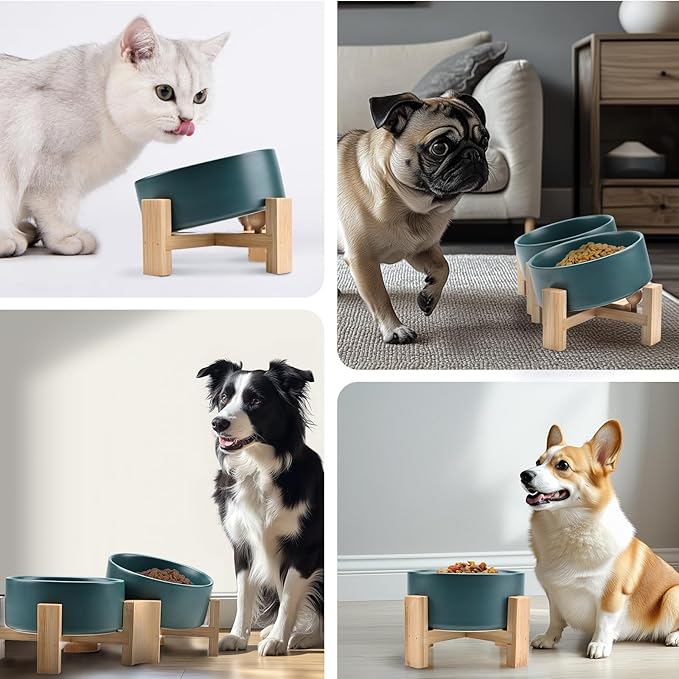 SPUNKYJUNKY 15° Slanted Ceramic Dog and Cat Bowl with Wooden Stand, Tilted Bulldog Food and Water Bowl No Slip Non-Spill for Cats Medium Dogs Big Face Pets 28.7 OZ (3.6 Cups, Green × 2)