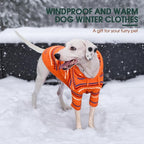 Kuoser XL Dog Sweater, Dog Sweaters for Large Dogs, Girl Boy Christmas Sweater, Striped Knitwear Big Dogs Winter Clothes, Cold Weather Warm Pet Sweatshirt for Golden Retriever, Labrador, Orange XL