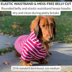 DJANGO Dog Hoodie – Warm, Lightweight, Soft & Stretchy Dog Sweater with Hood, Harness Hole & Elastic Waistband – Cozy Sweatshirt for Small Dogs up to 25 lbs, Dachshunds & Puppies – Boysenberry, XS