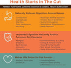 Perfect Poop Digestion & Health Supplement for Dogs: Fiber, Prebiotics, Probiotics, Enzymes Digestive, Hard & Soft Stool, Improved Health (4.2oz Cheddar Bag + 4.2 oz Chicken Bag, 4.2 oz Bundle)