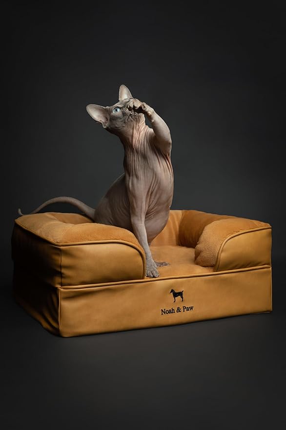 NOAH & PAW Small Dog Bed, 20x15x8 Inch, Cat Bed for Indoor Cats, Orthopedic Eggshell Memory Foam Infused with Cooling Gel, Waterproof Inner Cover Machine Washable (Faux Leather Collection)