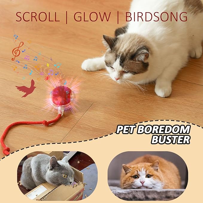Dog Toy, 360° Rolling Interactive Ball Cat Toy with Realistic Bird Chirping Sounds, Fast Moving Balls Toys for Pets | Automatic Obstacle Avoidance, Rechargeable, Tough (Blue)