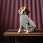 ROZKITCH Dog Winter Coat Soft Pullover Pajamas, Pet Windproof Warm Cold Weather Jacket Vest Cozy Jumpsuit Apparel Outfit Clothes for Walking Sleep Grey M
