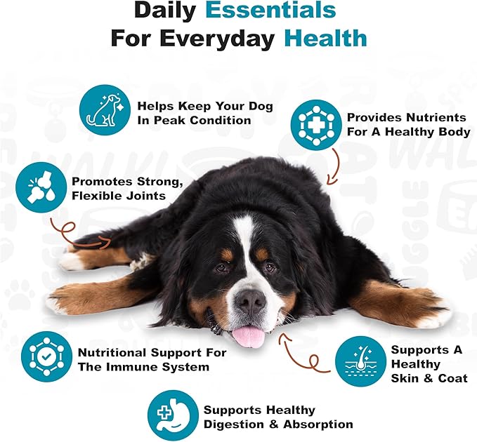Doggie Dailies Senior Essentials Multivitamin for Dogs Soft Chews | Advanced Dog Multivitamin | Nutritional Support for Joints, Skin & Coat, Digestion, and the Immune System | Bacon Flavor | 120 Count