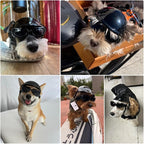 Dog Helmet and Goggles Small Breed, UV Protection Dog Goggles and Motorcycle Helmet with Ear Holes Adjustable Straps for Outdoor Biking, Black