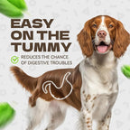 Chicken Jerky Dog Treats, Real Chicken Strips Dog Training Treats Soft Rawhide-Free Chews Healthy Snacks for Small Medium Large Breed 10.54oz