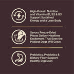 Wellness CORE+ Dry Dog Food with Wholesome Grains, Natural Ingredients, Made in USA with Real Freeze-Dried Meat (Adult, Turkey, 4 lbs) (Pack of 2)