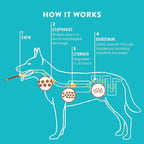 TRURANCH Collagen Sticks - 5" Collagen Sticks for Dogs - Long Lasting Healthy Joint Support Dog Treat - Rawhide Alternative - Skin & Coat Health - Made with Real Beef, 1 Bag, 15 Count