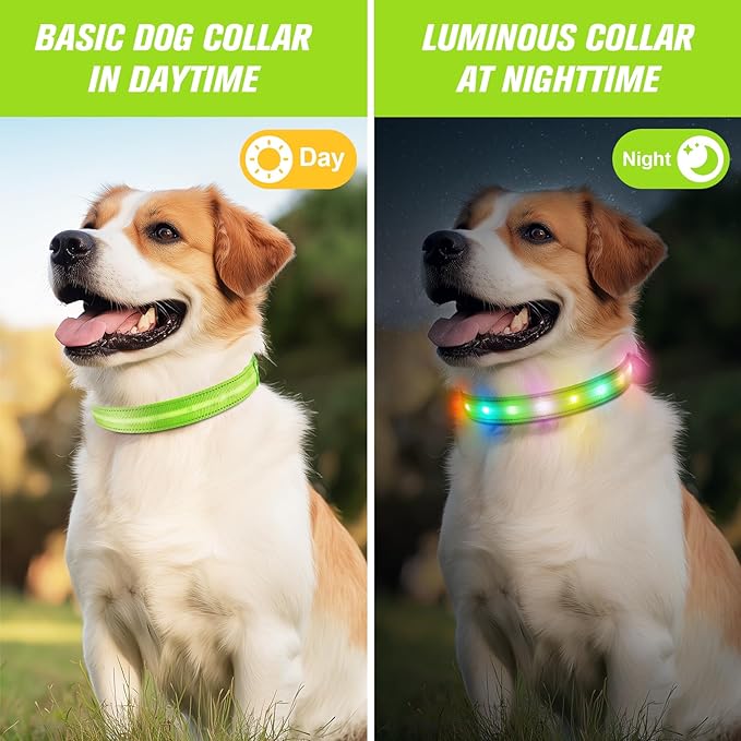 LED Dog Collar, Light Up Dog Collar, USB Rechargeable - Brightest Dog Lights for Night Walking, 6 Light Modes, Adjustable for Dog Safety(Medium, Neon Green)