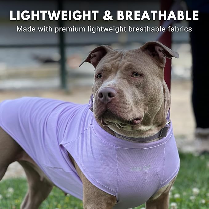 Spark Paws Sunblock Dog T-Shirt, SPF30 Protection, Lightweight Breathable Quick Dry for Dogs with Sensitive Skin - Purple & Pink (Set of 2) - 3XL