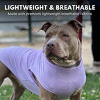 Spark Paws Sunblock Dog T-Shirt, SPF30 Protection, Lightweight Breathable Quick Dry for Dogs with Sensitive Skin - Purple & Pink (Set of 2) - M