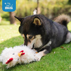 Best Pet Supplies Interactive Squeaky Dog Chew Toy, Ideal Dog Toys for Chewers, Small, Medium & Large Dogs, and Fetch Lovers - Crinkle Chicken (Beige), Large