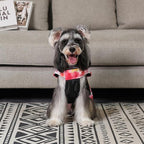 GMF29S Winter Dog Jacket Reversible Vest Soft Coat with Leash Hole for Small to Large Dogs, Windproof, Waterproof, Thick, Adjustable