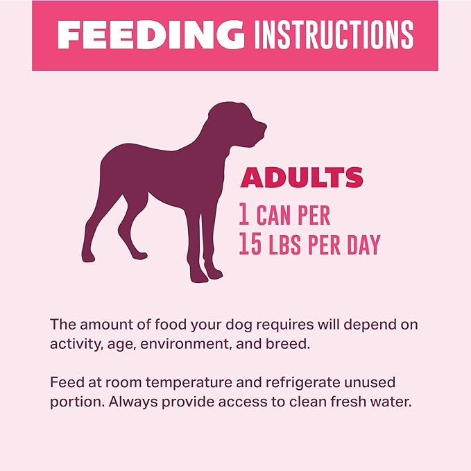 Your Pet's Kitchen Wet Dog Food Cups, Beef Recipe - 3.5 oz Cups (Pack of 12), Made in The USA with Real Beef
