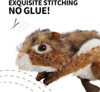 ALL FOR PAWS Squirrel Squeaky Doy Toy, Squirrel Dog Toy for Medium Large Breed, Puppy Fetch Toy with Squeaker, Plush Chew Dog Toy, 13.8 x 3.9 x 4.1inches, Chipmunk-L