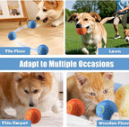 Shaky Ball Toy for Dogs, Automatic Interactive Dog Ball, USB Rechargeable Vibrating Dog Balls Suitable for All Dogs (Blue+Orange)-2PCS