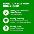IAMS Proactive Health Large Breed Puppy Food with Real Chicken, 30.6 lb. Bag