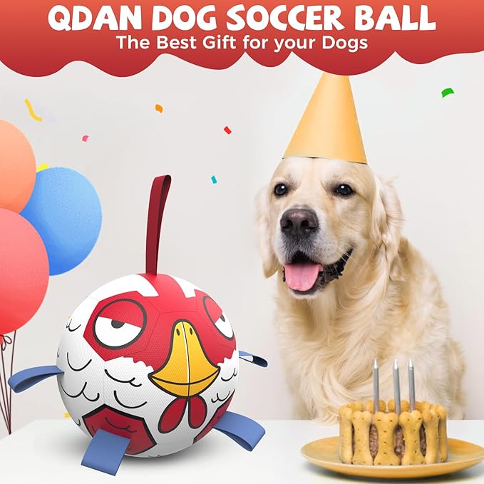 QDAN Premium Dog Balls Toys, Outdoor Dog Toys, Dog Soccer Balls with with Straps, Pet Puppy Birthday Gifts for Small Medium Dogs, 6 Inch, Chicken Ball