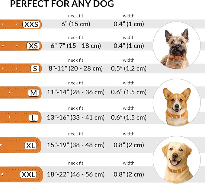 CollarDirect Rolled Leather Dog Collar, Soft Padded Round Puppy Collar, Handmade Genuine Leather Collar Dog Small Large Cat Collars 13 Colors (13-16 Inch, Orange Textured)