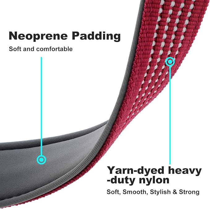 Plutus Pet Reflective Dog Collar with Aviation Aluminum Buckle, Neoprene Padded for Comfort, Lightweight, Heavy Duty Nylon Collar for Puppy Small Medium Large Dogs (Burgundy Red, M)