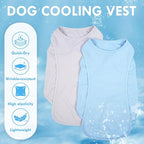 2 Pack Dog T-Shirts for Large Dogs, Quick Dry Cooling Vest, Summer UV Protection UPF50+ Shirt for Dogs Outdoor Hiking, Beach Trip, Travel, Blue+Grey, 2XL