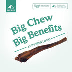 BARK'N BIG 12 Inch Monster Bully Sticks for Large Dogs - Colossal Bullarge Size - Made in USA - Single Ingredient Dog Chew - Super Premium Pizzle Sticks - Jumbo Beef Pizzles for Large Breeds - 1 ct