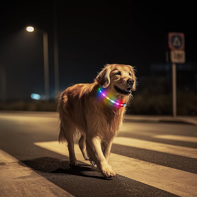 LED Dog Collar, Light Up Dog Collar, USB Rechargeable - Brightest Dog Lights for Night Walking, 6 Light Modes, Adjustable for Dog Safety(Small, Purple)