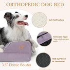 Comfort Expression Orthopedic Dog Bed for Small Dogs 20x14 Inch, Waterproof Supportive Egg Crate Foam Small Pet Bed with Removable Bolsters, Dog Couch with Washable Cover & Non-Slip Bottom, Purple
