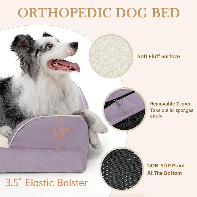 Comfort Expression Orthopedic Dog Bed for Small Dogs 20x14 Inch, Waterproof Supportive Egg Crate Foam Small Pet Bed with Removable Bolsters, Dog Couch with Washable Cover & Non-Slip Bottom, Purple